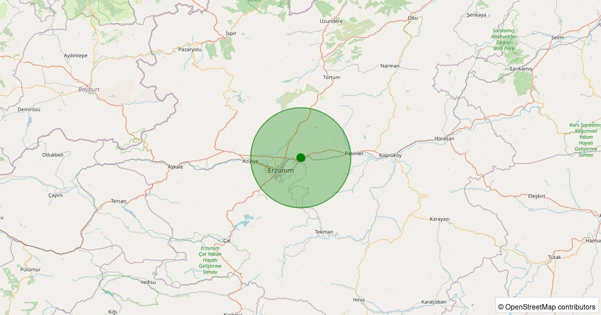 28 Ekim 2025 saat 14:10 - Palandöken - Nenehatun - 2.10ML depreminin harita gösterimi