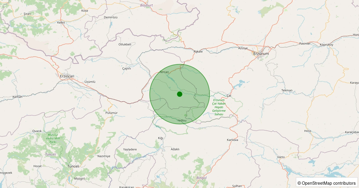 29 Ekim 2025 saat 21:59 - Tercan - Esenevler Köyü - 1.60ml depreminin harita gösterimi