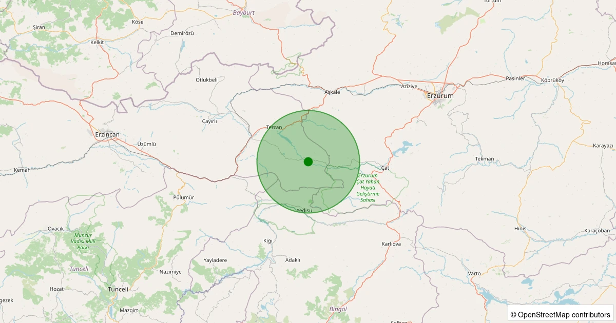 29 Ekim 2025 saat 21:59 - Tercan - Kökpınar Köyü - 1.60ML depreminin harita gösterimi