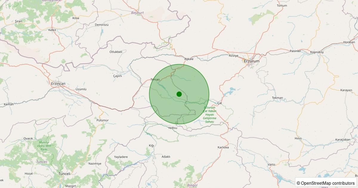 29 Ekim 2025 saat 22:30 - Tercan - Kalecik Köyü - 1.90ml depreminin harita gösterimi