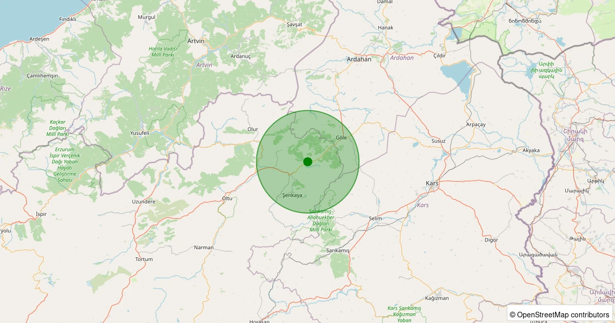 03 Kasım 2025 saat 11:10 - Şenkaya - Sarıkayalar - 1.60ML depreminin harita gösterimi