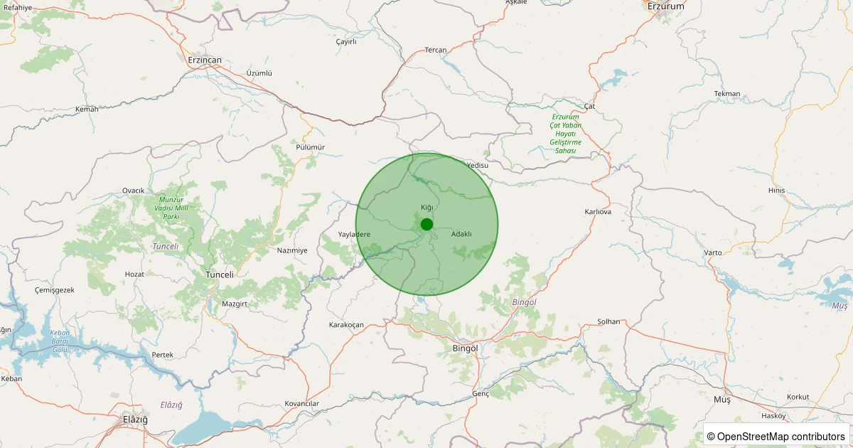 04 Kasım 2025 saat 02:46 - Kiğı - 1.60ml depreminin harita gösterimi