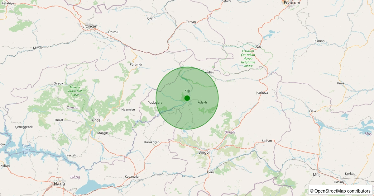 04 Kasım 2025 saat 02:46 - Kiğı - 1.40ML depreminin harita gösterimi