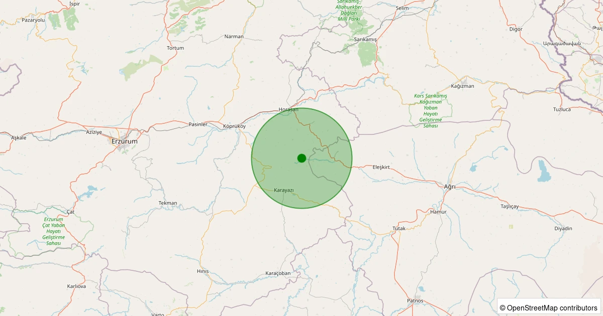 10 Kasım 2025 saat 08:36 - Karayazı - Çayırbeyli - 2.20ml depreminin harita gösterimi