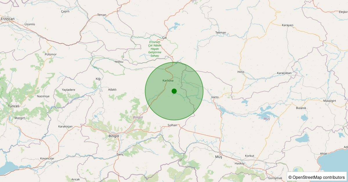 12 Kasım 2025 saat 00:26 - Karlıova - Yorgançayır Afet Köyü - 1.00ml depreminin harita gösterimi