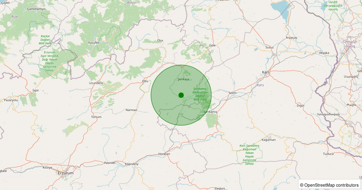20 Kasım 2025 saat 09:30 - Şenkaya - Çatalelma - 1.70ml depreminin harita gösterimi