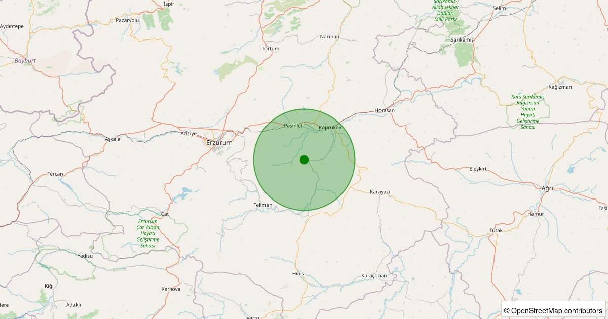 22 Kasım 2025 saat 05:31 - Pasinler - Yastıktepe - 1.30ML depreminin harita gösterimi