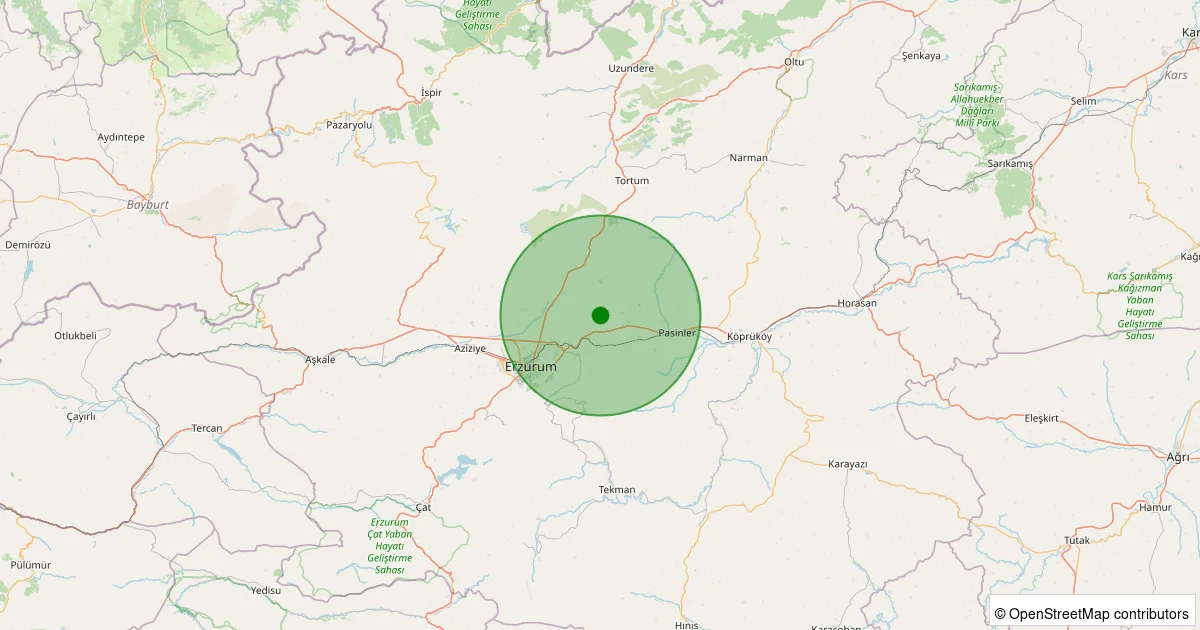 12 Ekim 2025 saat 09:12 - Pasinler - Saksı - 2.00ml depreminin harita gösterimi