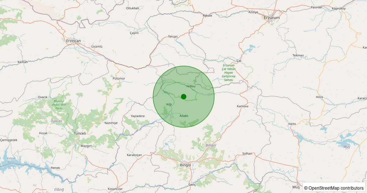 07 Aralık 2025 saat 20:09 - Adaklı - Maltepe Köyü - 1.10ml depreminin harita gösterimi