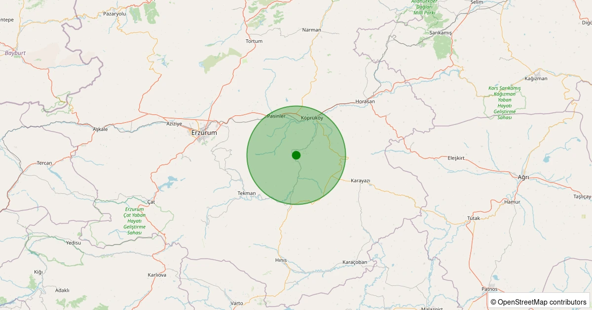10 Aralık 2025 saat 06:33 - Pasinler - Yastıktepe - 1.30ml depreminin harita gösterimi