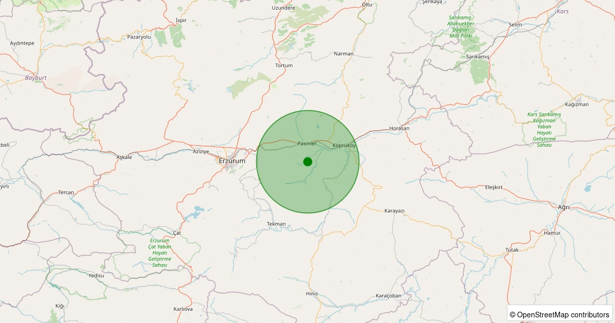 10 Aralık 2025 saat 06:33 - Pasinler - Otlukkapı - 1.30ml depreminin harita gösterimi