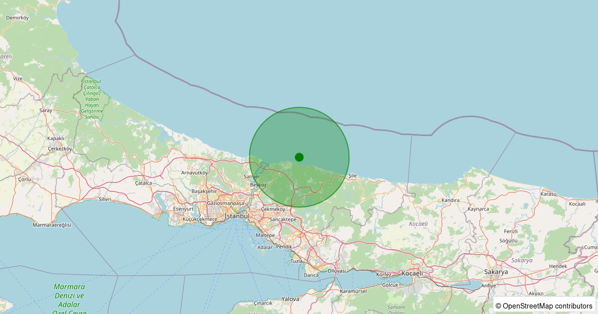11 Aralık 2025 saat 13:39 - KURNA-SILE - 1.10ml depreminin harita gösterimi