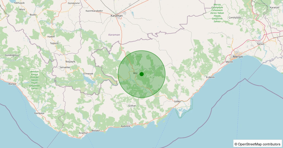 13 Aralık 2025 saat 19:50 - Mut - Bağcağız Köyü - 1.40ml depreminin harita gösterimi