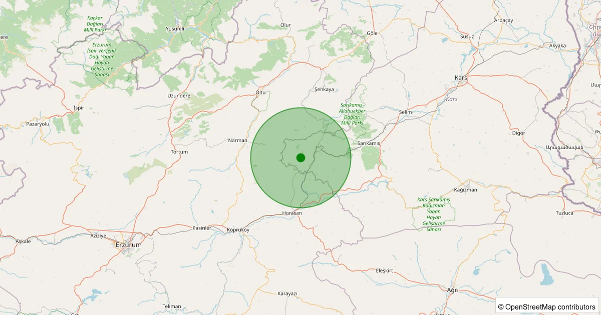 14 Ekim 2025 saat 01:07 - Sarıkamış - Akören Köyü - 1.60ml depreminin harita gösterimi